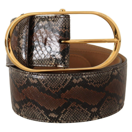 Dolce & Gabbana Brown Exotic Leather Gold Oval Buckle Belt BEL8361 - 80