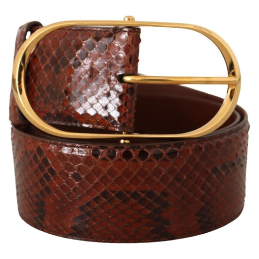 Dolce & Gabbana Brown Exotic Leather Gold Oval Buckle Belt BEL8363 - 70