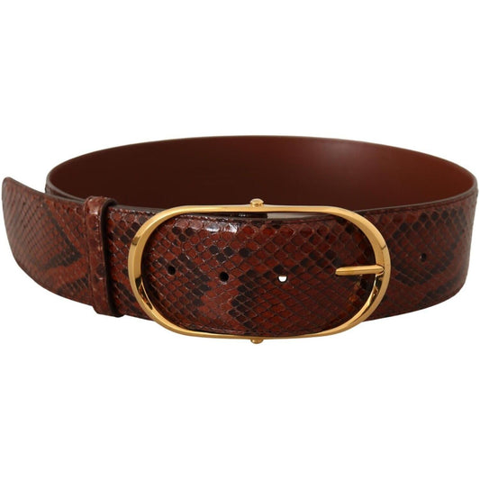 Dolce & Gabbana Brown Exotic Leather Gold Oval Buckle Belt BEL8363 - 70