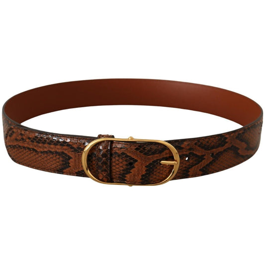 Dolce & Gabbana Brown Exotic Leather Gold Oval Buckle Belt BEL8364 - 80