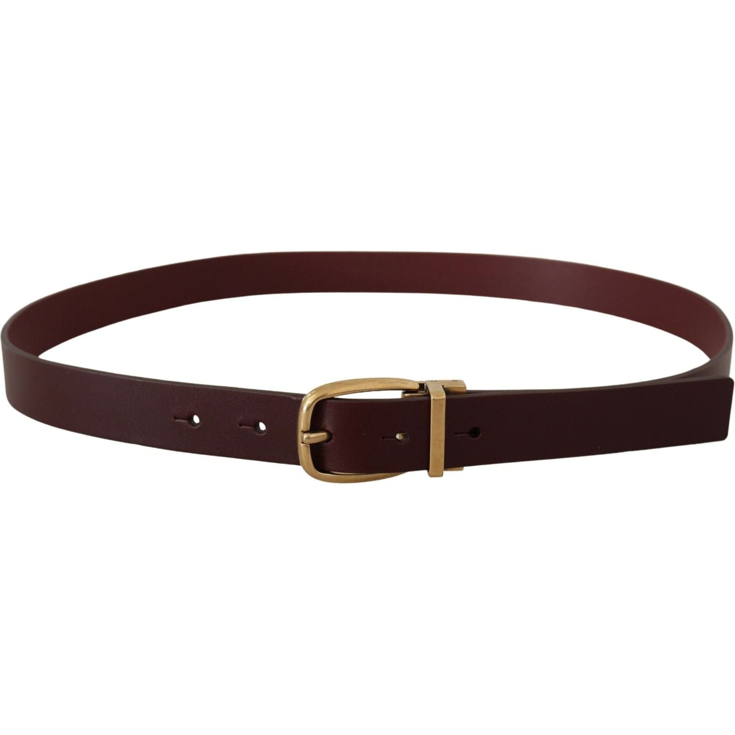 Dolce & Gabbana Brown Leather Classic Gold Metal Buckle Belt