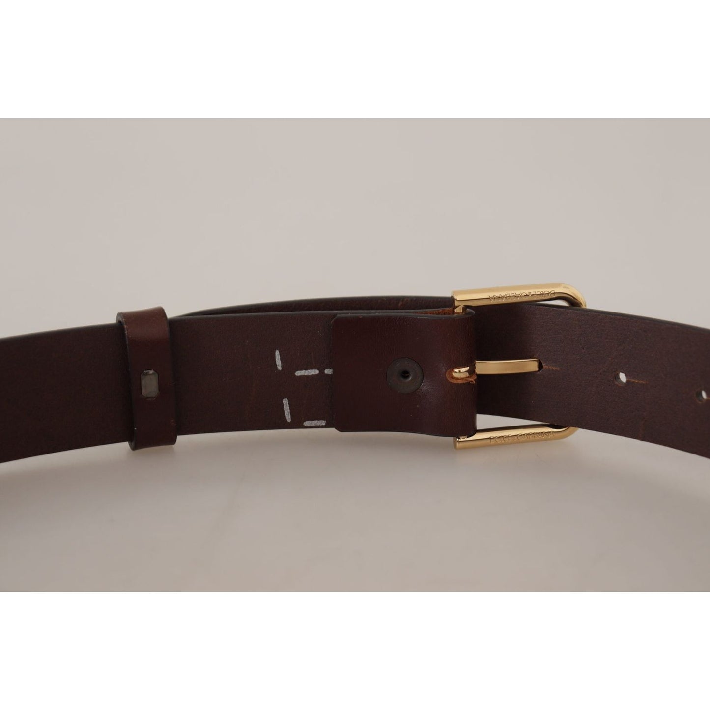 Dolce & Gabbana Brown Plain Calf Leather Gold Tone Buckle Belt