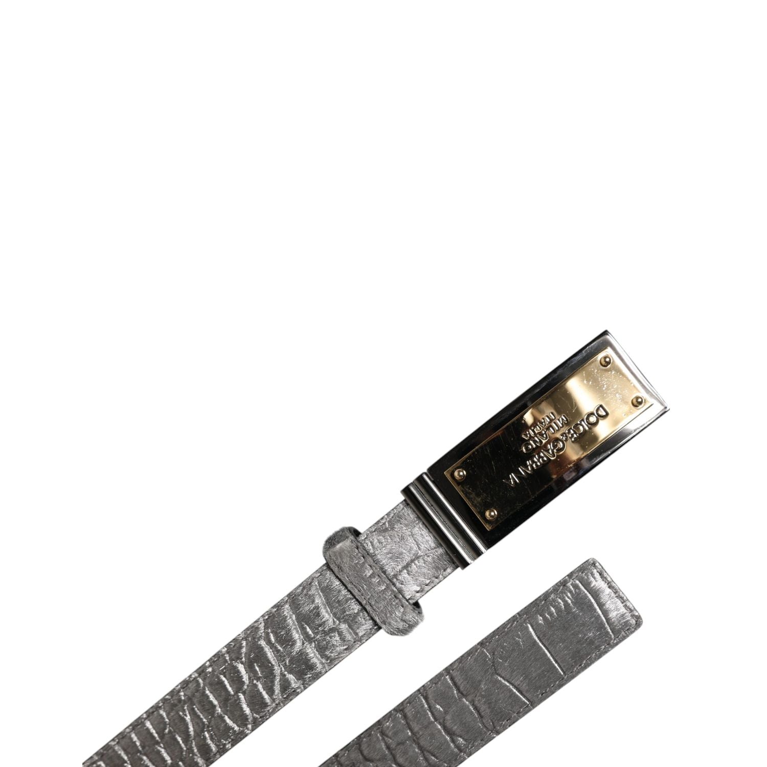 Dolce & Gabbana Silver Classic Gold Logo Plaque Buckle Belt