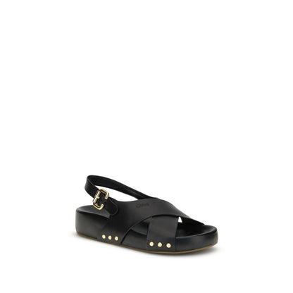 Chloé Mae Sandals in black calfskin leather, featuring Paddington buckle and gold studs for elegance and comfort.
